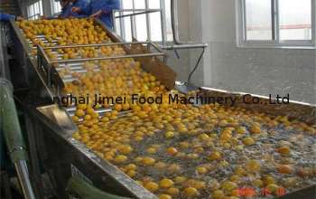 pl9843416-6000l_h_orange_fruit_juice_processing_machine_with_fresh_fruits_treatments